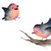 La Piluto (@lapiluto) Twitter profile photo La Piluto (@lapiluto) Twitter profile photo