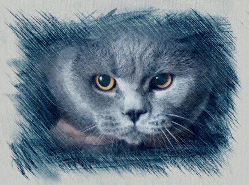 LesaArx's profile picture. Интерьерщик, интерьерщик и еще раз интерьерщик!