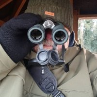 Phil Arnold (@thirdratebirder) 's Twitter Profile Photo Phil Arnold (@thirdratebirder) 's Twitter Profile Photo