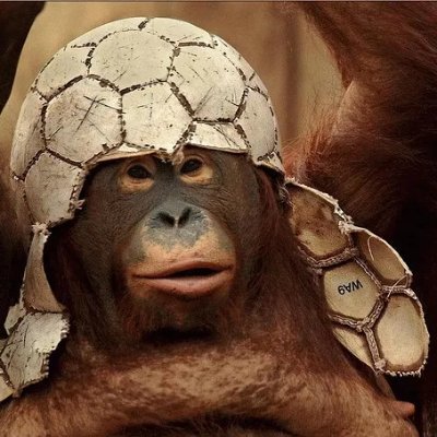 manimontana3's profile picture. Nft hunter