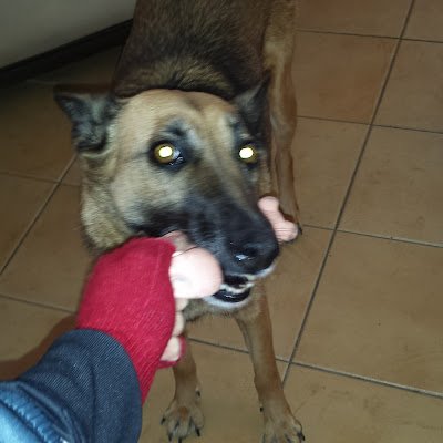 lamanita86's profile picture. 