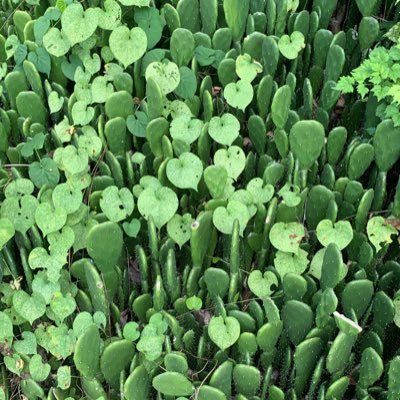 ffffffie61's profile picture. 