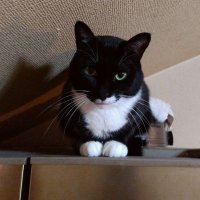 毎日キャンプ (@jsfnl6o0s8dtudf) 's Twitter Profile