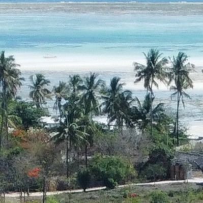 CROMSTD's profile picture. $LATE $ai16z $snai $neur $virtual $fxn $tetsuo $crow $aicmp $sora $zerebro $sui $daos $kriya $whisp $voltx $worm