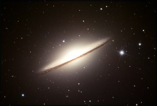 turkeymd's profile picture. 