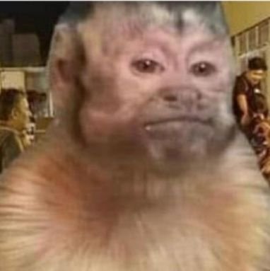 MayraSi93936676's profile picture. 