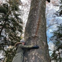 @Naghmeh.Pakgohar (@npakgohar) 's Twitter Profile