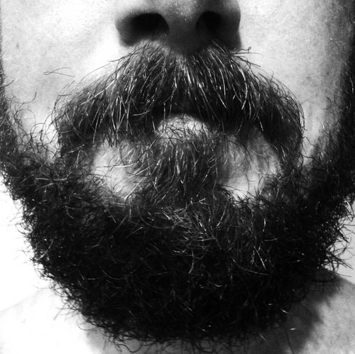 votrobeck's profile picture. carbon- and spaghetti-based life form.