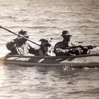 Johan Siverland (@cyberdogdriver) 's Twitter Profile