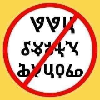 አማርዶ