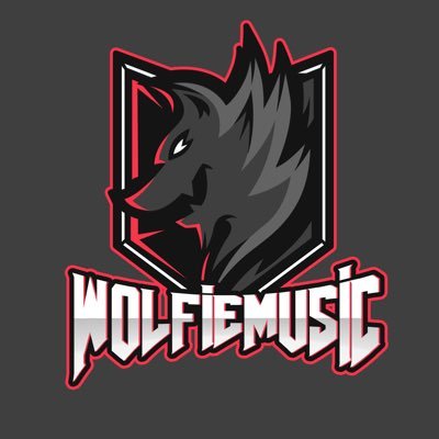 dj and producer in the making and I’m 20 years old. and my vrchat username is wolfiemusic