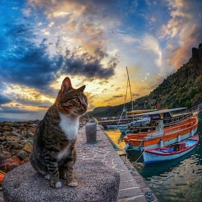 Bilim üretim , akıl fikir , beyin !
Sevgi Saygı empati