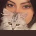 زوجين فري (@ms198092) Twitter profile photo زوجين فري (@ms198092) Twitter profile photo