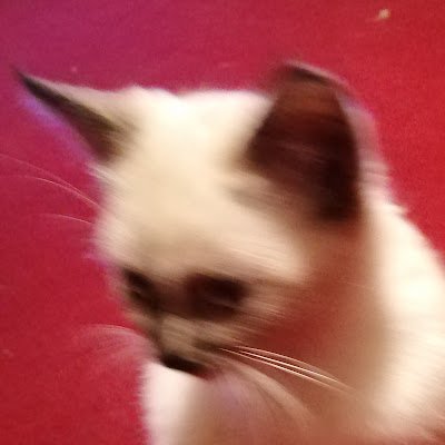 MarhenkoVitalij's profile picture. Жил_был п#с.
Ничего себе, все людям...