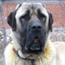 cagdas (@cagdas74807171) Twitter profile photo cagdas (@cagdas74807171) Twitter profile photo