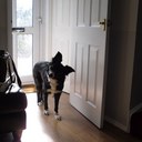 Tracy Orton - @dizzimoo - Twitter