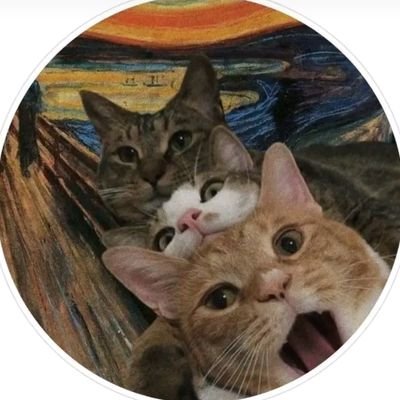 nietzomer's profile picture. en ook ni winter of herfst