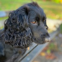 Louise Slater (@loubylous71) 's Twitter Profile
