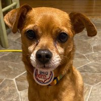 Jimmy Rios (@doggonepsych) 's Twitter Profile Photo Jimmy Rios (@doggonepsych) 's Twitter Profile Photo