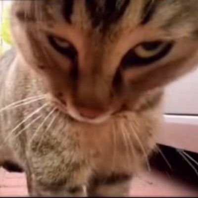 wastemars's profile picture. Alt/spam account 
Unknown. 23