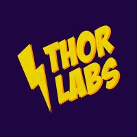 Thor Labs 1st Anniversary - Beyond the Vision!(@thor_labs) 's Twitter Profile Photo