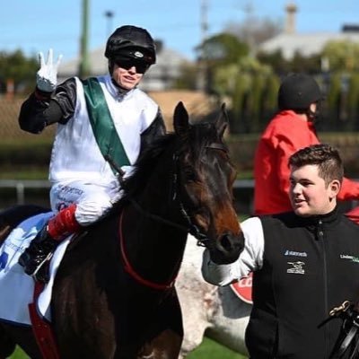 Stable Manager at Lindsay Park Racing - Flemington Stables. Mr Brightside.