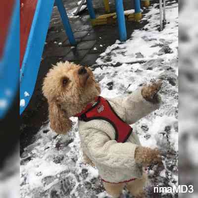 rimaMD3's profile picture. My standards are high… just like my heels