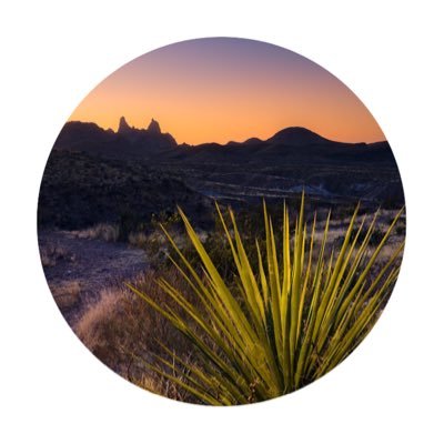 EnsAnnaOps's profile picture. 