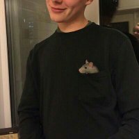 неброшкина (@elzeavve) 's Twitter Profile