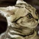 pete ballard - @squirrelsecret - Twitter