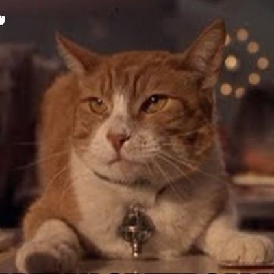 NumbersStick's profile picture. Supply Chain Planning & Data Analytics in past life. Account dedicated to Kitty circle.