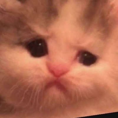 Jakelさんのプロフィール画像