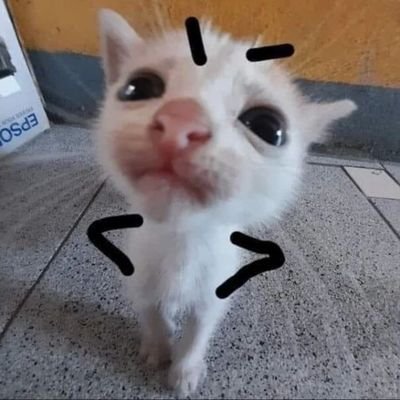 tw joputa devuélveme mi cuenta anterior primer aviso