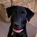 Dani duffy - @Daniduf41941885 - Twitter