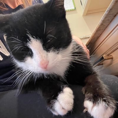 dishbytrish's profile picture. Proud wife, mom and American