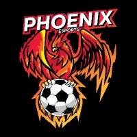PHOENIX ESPORTS (@phoenix21061713) 's Twitter Profile