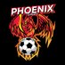 PHOENIX ESPORTS (@phoenix21061713) Twitter profile photo