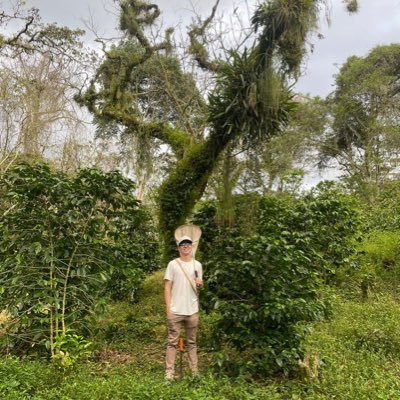 CuervoQuijano's profile picture. 