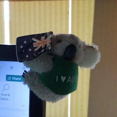 Scootscoopy1's profile picture. Pecinta Vespa