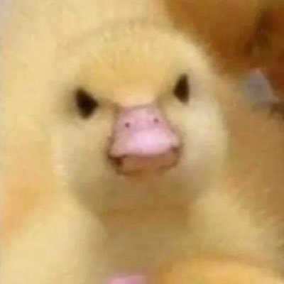 Kingg_Amaru's profile picture. 