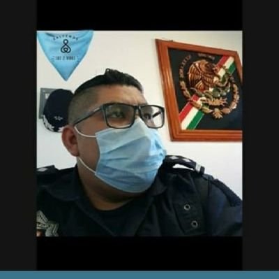 La policía debe asegurarse la cooperación voluntaria del público en la observancia de la ley para ser capaz de mantener su respeto.