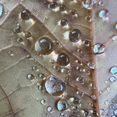 Funnylife1244's profile picture. 