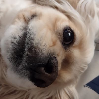 mar_person123's profile picture. Hey. Welcome to my profile. RB Battle
