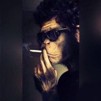 IAS Smoking Skills(@Smokingskills07) 's Twitter Profile Photo