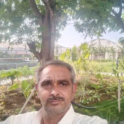 DodiyaNarsing4's profile picture. nice