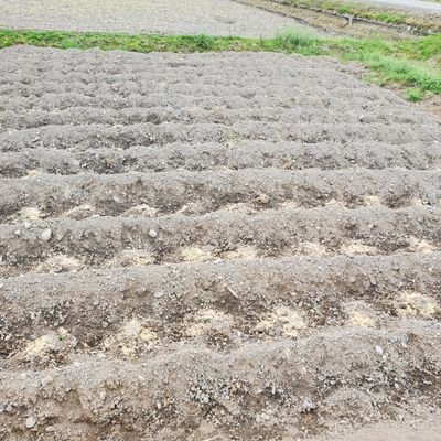 yutakaCONTEND1's profile picture. 