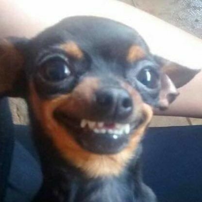 kshv_20's profile picture.