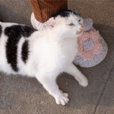 ChandniSantos's profile picture. 💯💯💯follow me 🔝🔝🔝follow back🆗🆗🆗