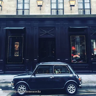 tamasei_22's profile picture. 2022.12〜デイトラWeb制作勉強開始