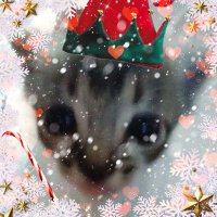 hum jumpy (@humjumpy) 's Twitter Profile
